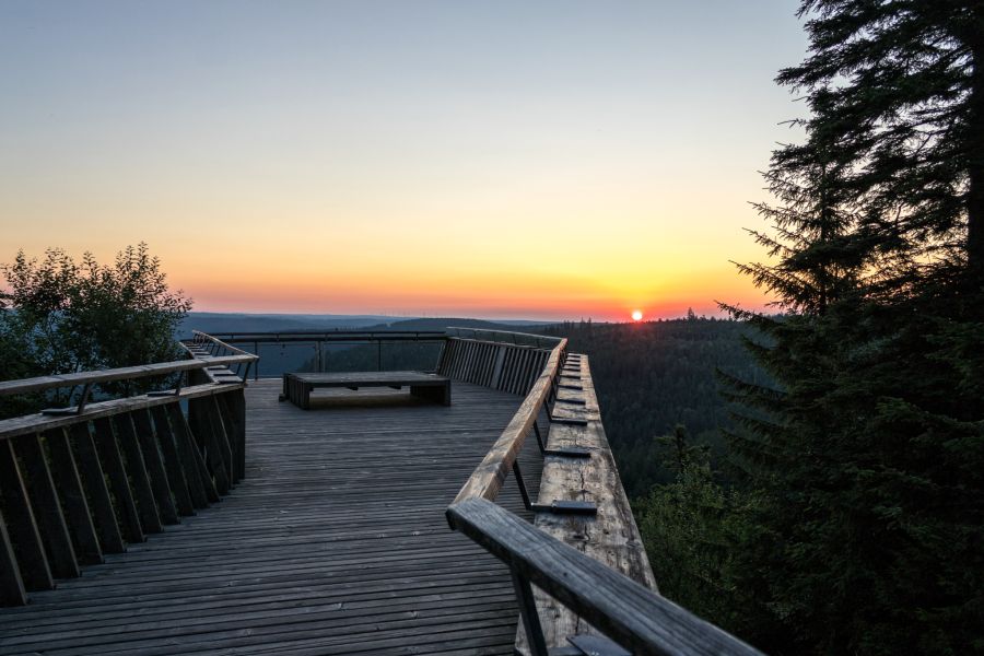 Symbolbild Schwarzwald Tourismus GmbH