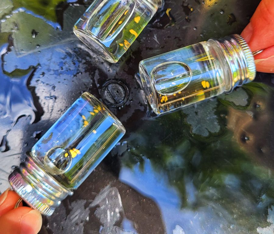 Lohnt es sich deshalb, in der Schweiz nach Gold zu suchen?