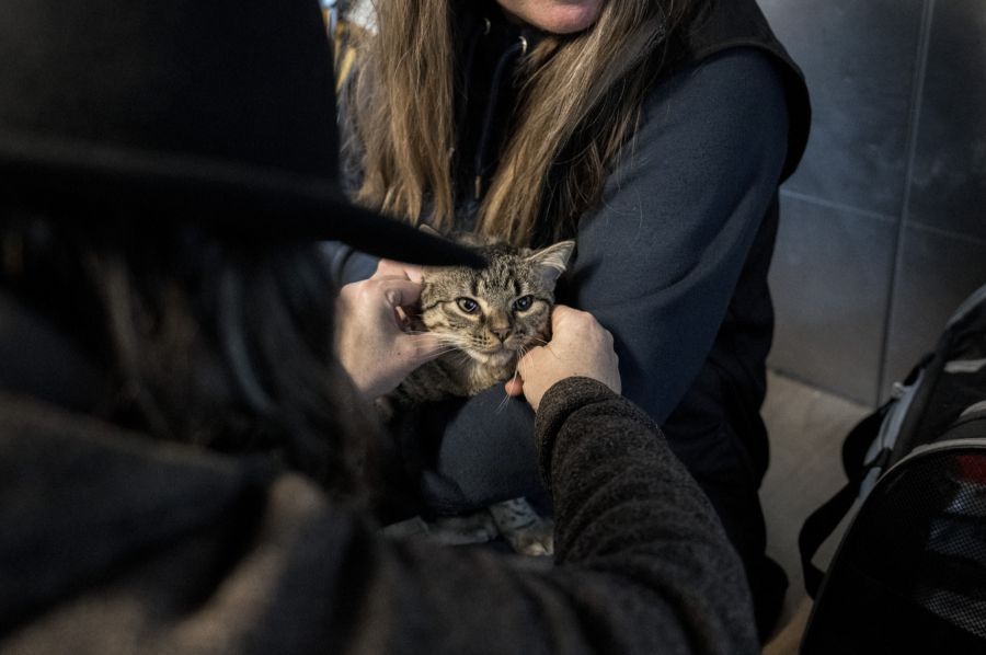Der Branchenverband registriert eine Zunahme auffälliger Ereignisse um 25 Prozent. (Symbolbild)