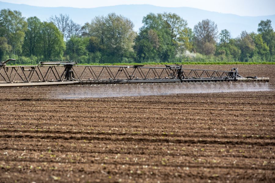 niederbipp pestizide