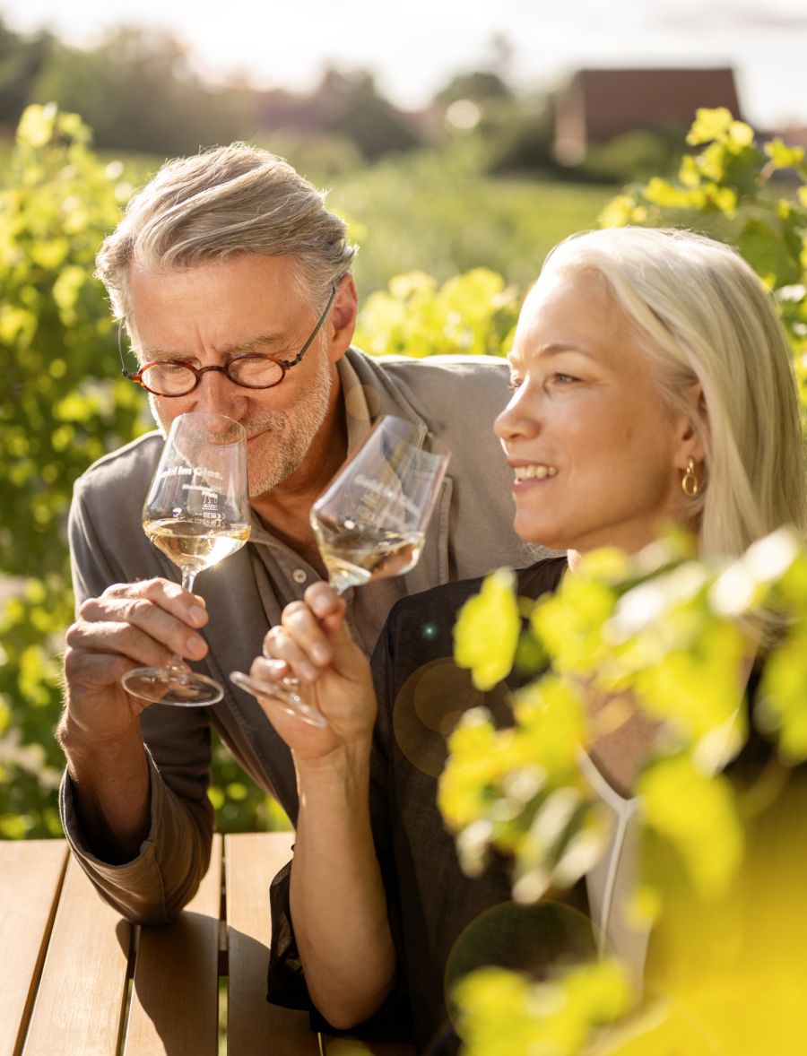 Lerne die Weinproduktion von der Ernte bis zum Genusswein kennen.
