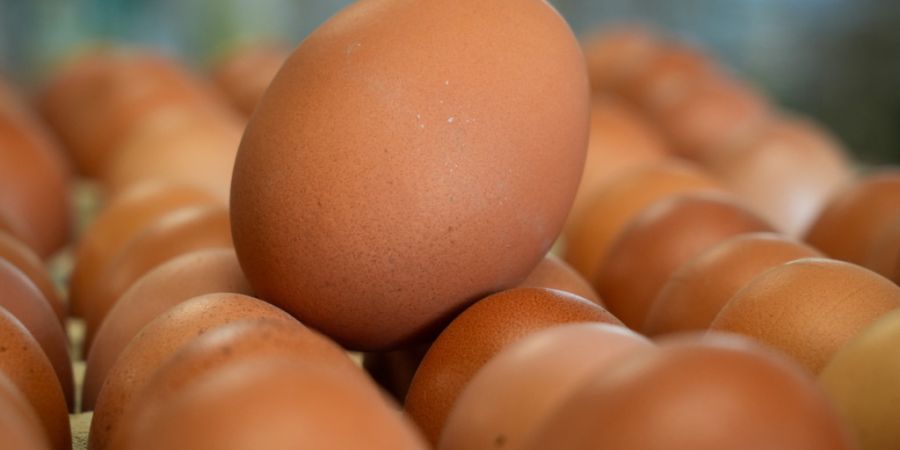 Weil in der Schweiz mehr Eier gegessen als im Inland produziert werden, hat der Bundesrat das Zollkontingent für Importeier erhöht. (Themenbild)