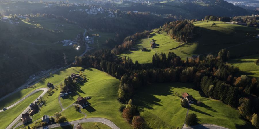 Der Schwyzer Regierungsrat will künftig auch ausserhalb der Bauzonen eine klare Trennung zwischen Wald und Nicht-Wald. (Symbolbild)