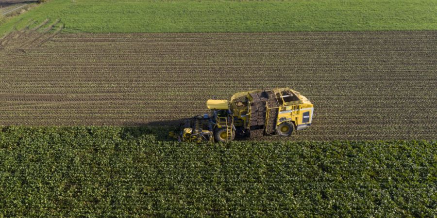 76 Hektar hochwertiges Ackerland werden statistisch vom Kanton Bern an den Kanton Jura übertragen. (Symbolbild)