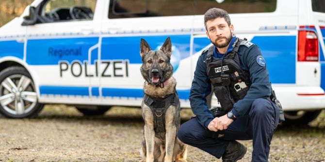 Polizeihund Gin