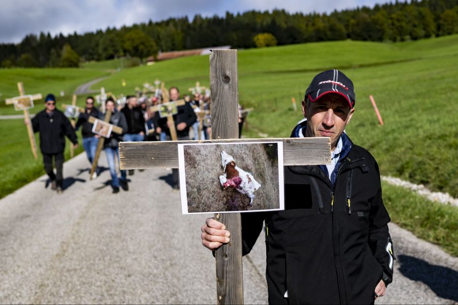 Der Wolf ist zurück in der Schweiz – und ist nicht bei allen beliebt. Hier protestieren Züchter gegen das Raubtier.