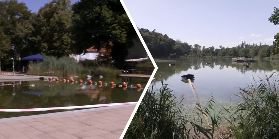 Schlechte Wasserqualität