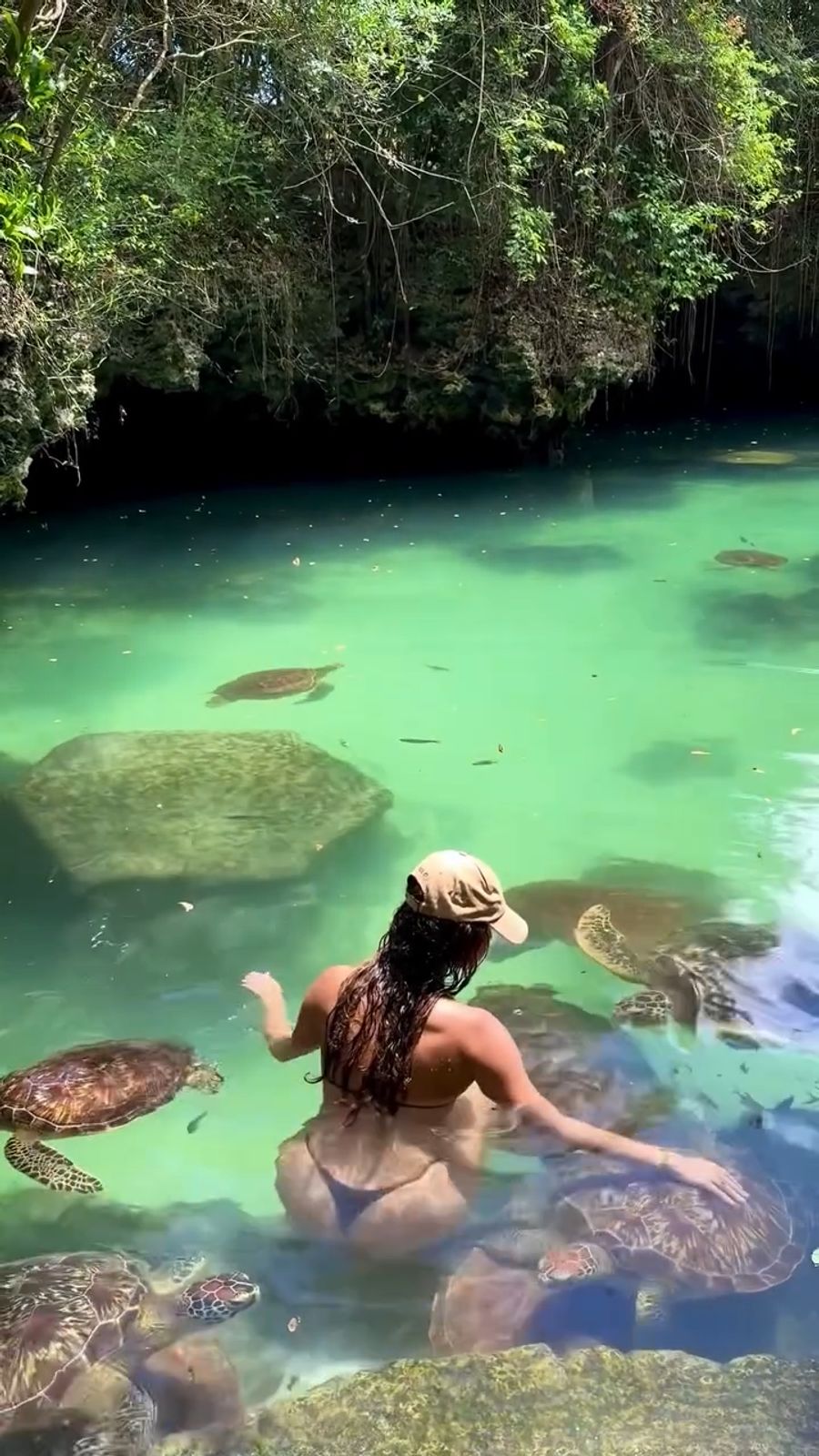 Sie planschte sie auch mit Schildkröten.
