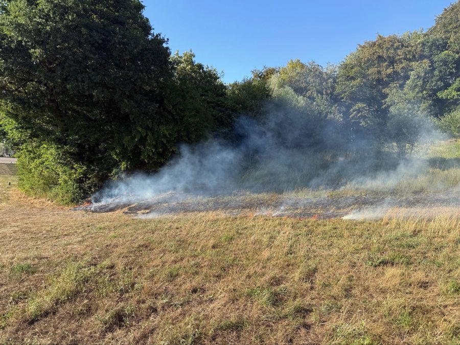 Auch der nahegelegene Wald fing teilweise Feuer.