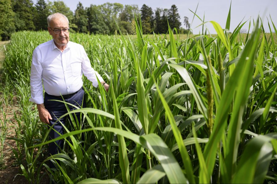 Guy Parmelin