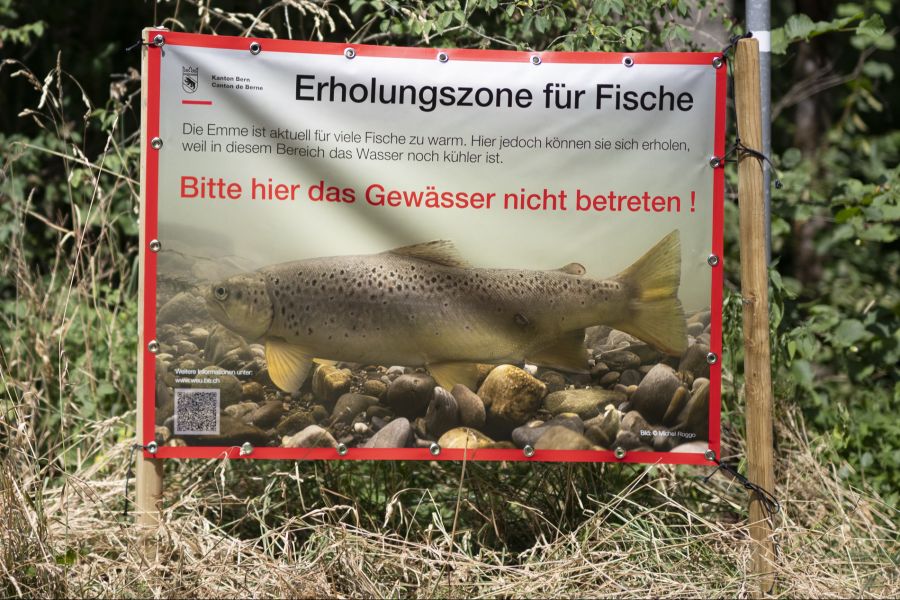 Das Betreten vieler Gewässer ist aktuell wegen der Trockenheit nicht erlaubt.
