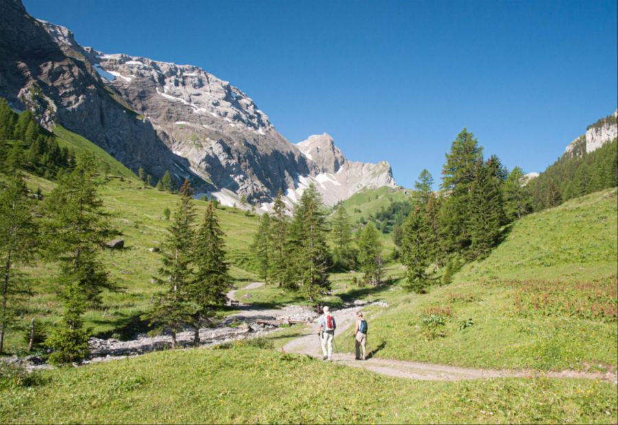 Alpweiden