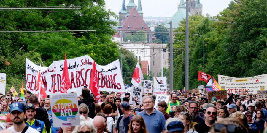 Teilnehmer einer Demonstration auf dem Weg zum Messegelände. Dort findet der Bundesparteitag der AfD statt. Foto: Sebastian Willnow/dpa
