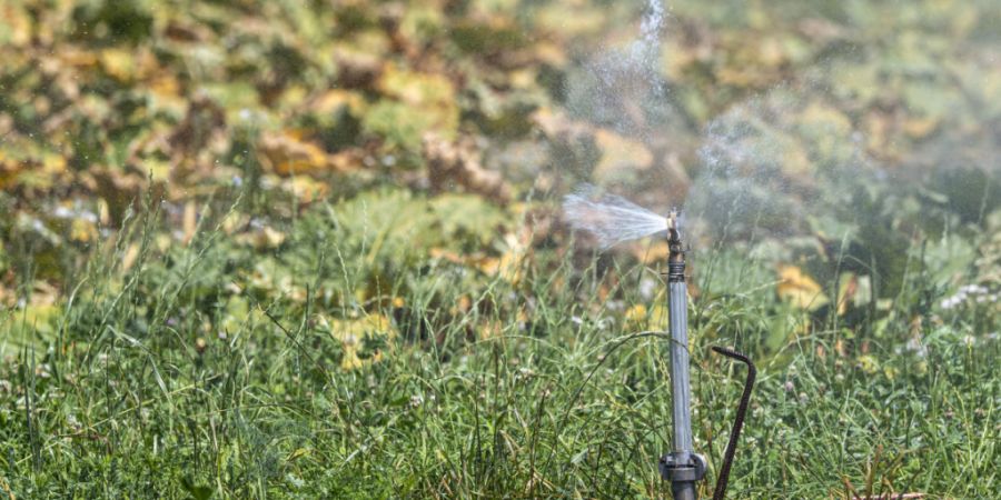 Die Trockenheit in der Schweiz führt verbreitet zu grosser bis sehr grosser Waldbrandgefahr. (Archivbild)