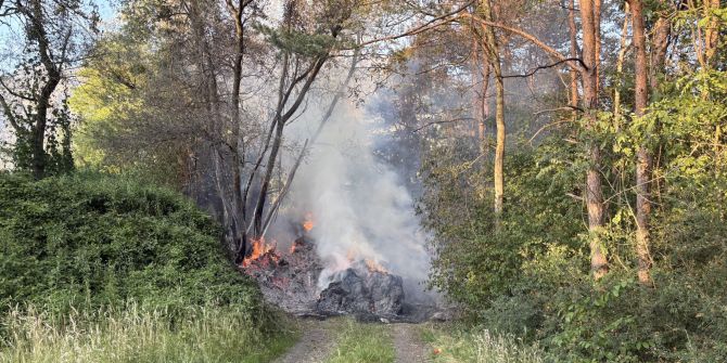 Waldbrand Sevelen