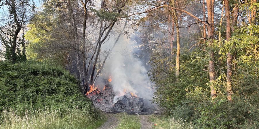Waldbrand Sevelen