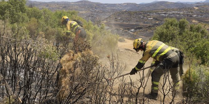 waldbrand