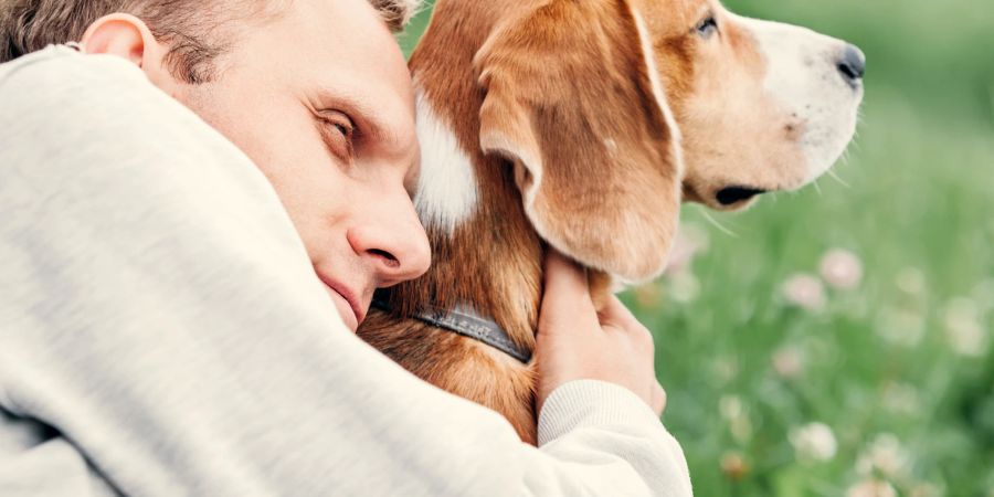 Ein Hund erkundet die Welt als Freund und Helfer von einem Hundebesitzer.