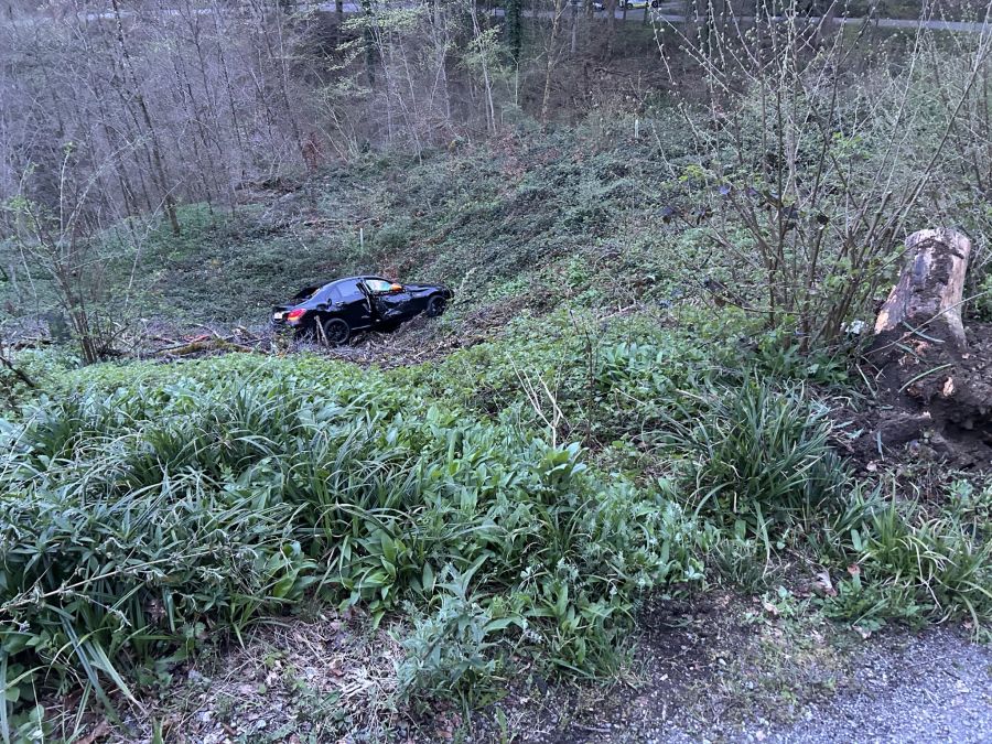 Der Autofahrer war alkoholisiert unterwegs.