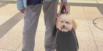 Hund ÖV
