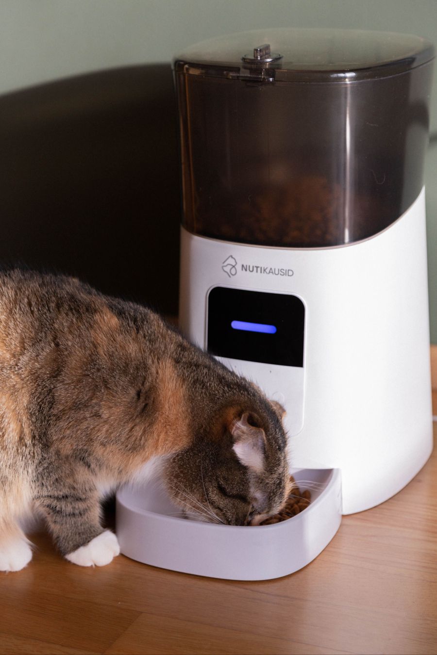 Smarte Futterspender