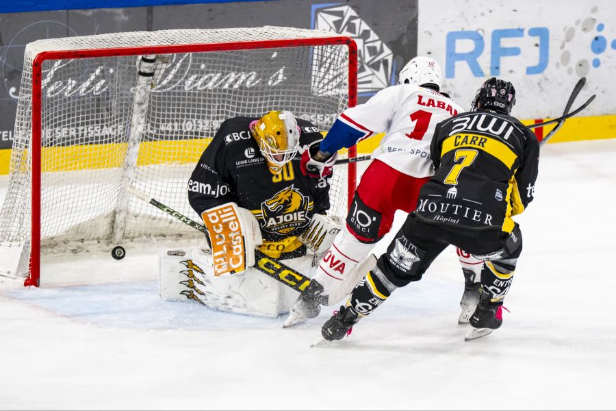 Rapperswil-Jona Lakers