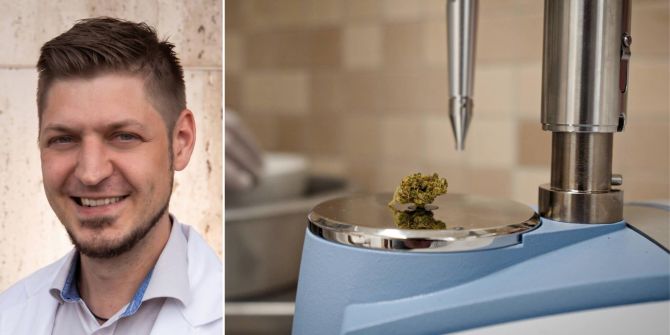Knackpunkt der Cannabis-Therapie sind die hohen Kosten