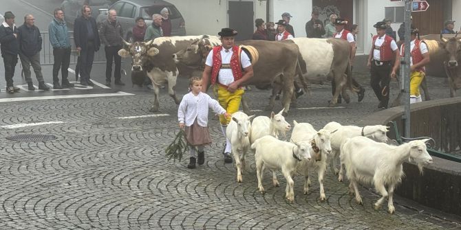 Herisau AR