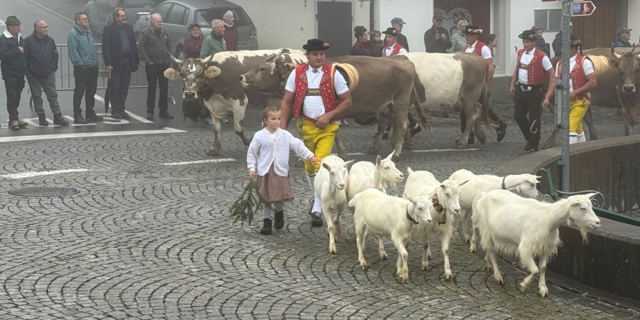 Herisau AR
