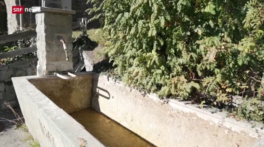 Aus den Brunnen in Feldis und Scheid fliesst seit fünf Wochen kein Wasser mehr. Im Frühling steht die Sanierung der Quellfassung an.