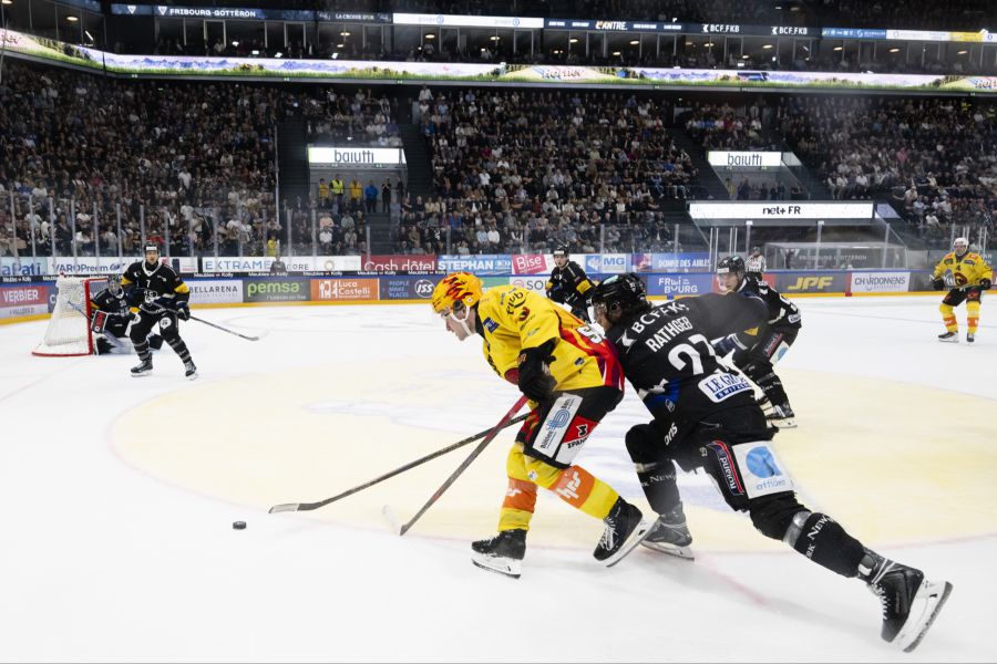 sc bern