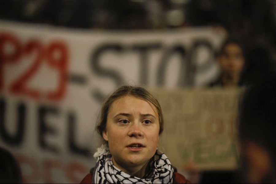 Thunberg solidarisierte sich bereits in der Vergangenheit mit Palästina. Das brachte ihr viel Kritik ein.