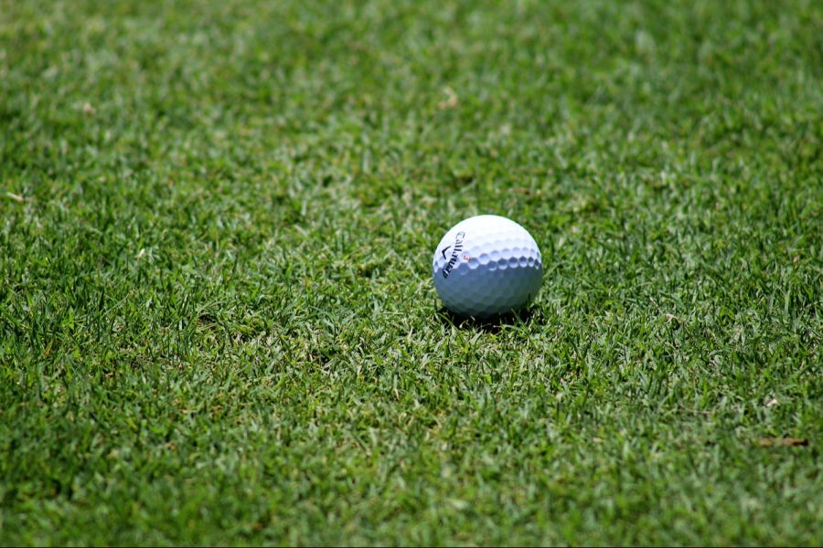 Golf Japan Bär
