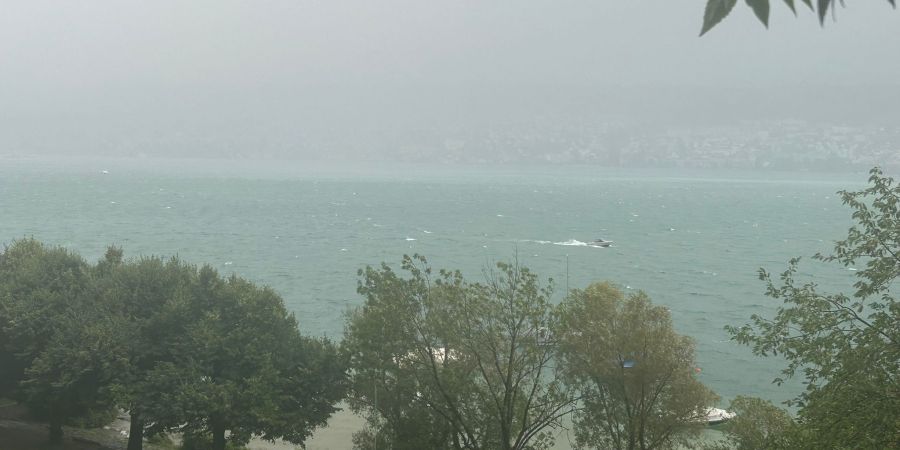 Wetter