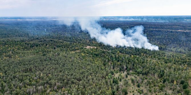 waldbrand