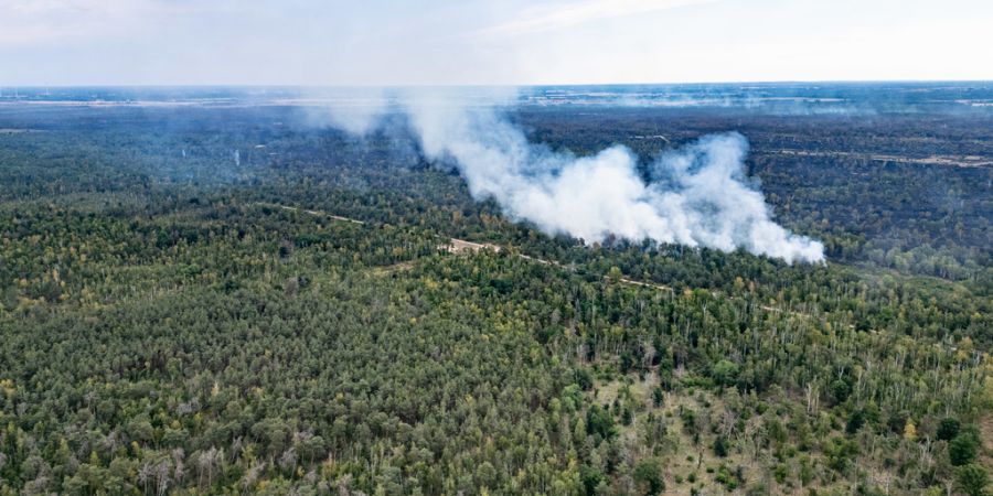 waldbrand