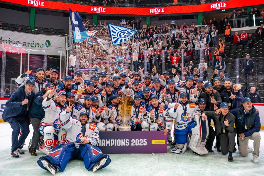 ZSC Loins