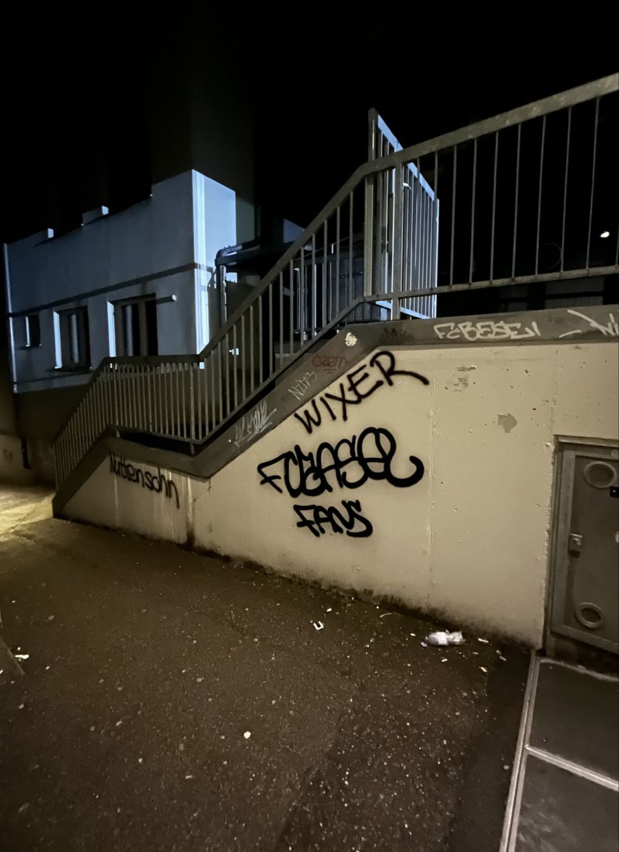 Bei den Verdächtigen wurden Spraydosen aufgefunden.