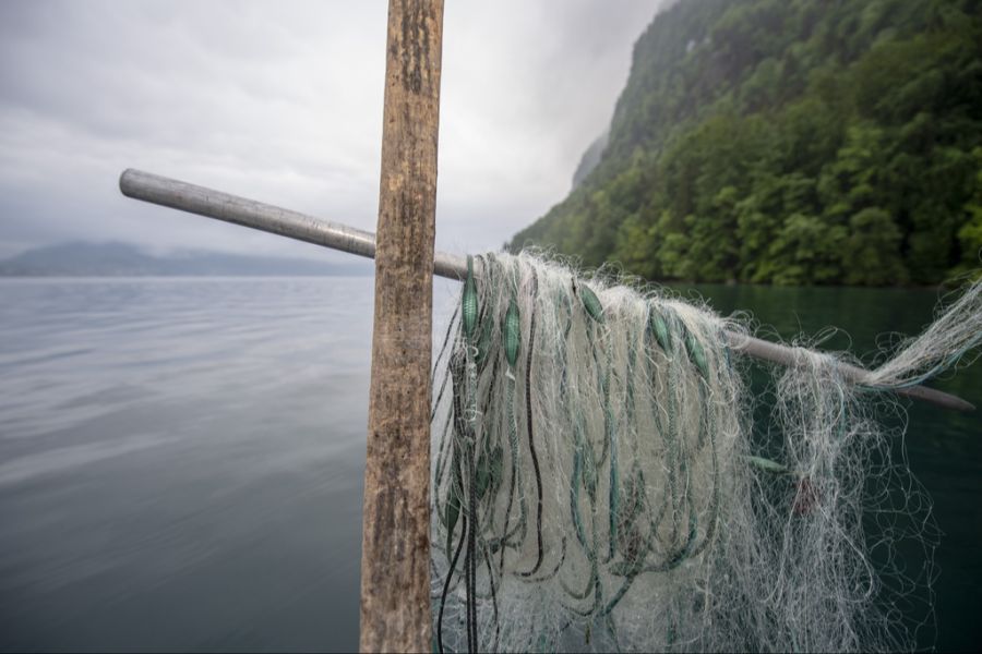 Andri Bryner, Pressesprecher des Eidgenössischen Wasserforschungsinstituts Eawag sagt: «Es ist gut möglich, dass auch für den Vierwaldstättersee ein Verbot ausgesprochen werden muss.»