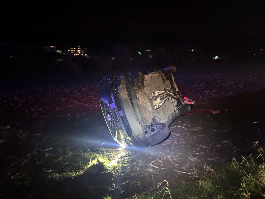 Durch den Aufprall wurde ein Fahrzeug ins Wiesland geschleudert.