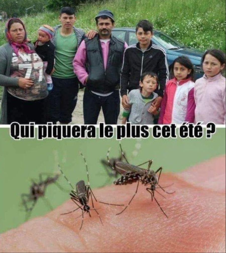 Wer sticht diesen Sommer am meisten? Das Bild zeigt eine Roma-Familie, darunter ein Bild von Mücken. Die absichtliche Gegenüberstellung unterstellt, dass Roma «stechen» wie Mücken – eine entmenschlichende, rassistische Aussage, die Roma mit Parasiten gleichsetzt.