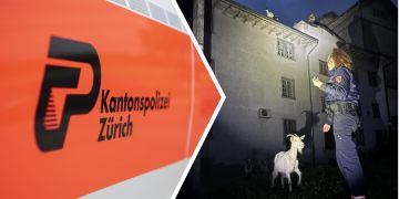 polizei zürich ziege