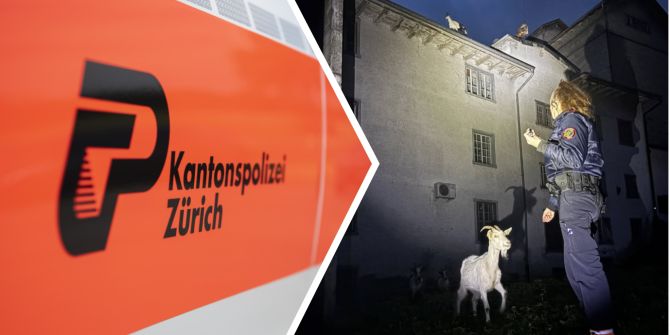 polizei zürich ziege