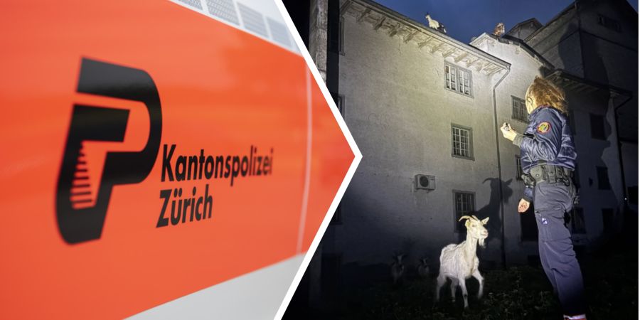 polizei zürich ziege