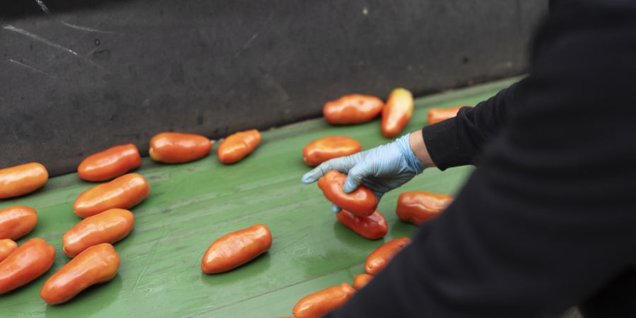 Eine Richtwertüberschreitung bei Alternaria-Toxine deutet gemäss Kantonslabor Basel-Stadt darauf hin, dass schimmlige Rohprodukte verarbeitet wurden. (Symbolbild)