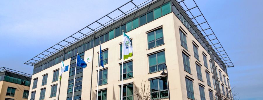 Das ECDC warnt vor Rekordwerten an Erkrankungen durch Mückenstiche.