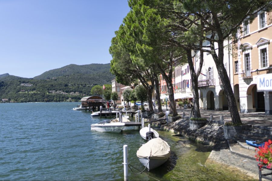 Tessin Sommer