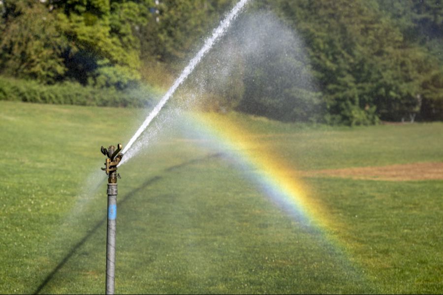 In Mörel-Filet heisst es wegen der Hitze: «Wiesen mit Trinkwasser zu berieseln, ist natürlich ein No-Go.» (Symbolbild)