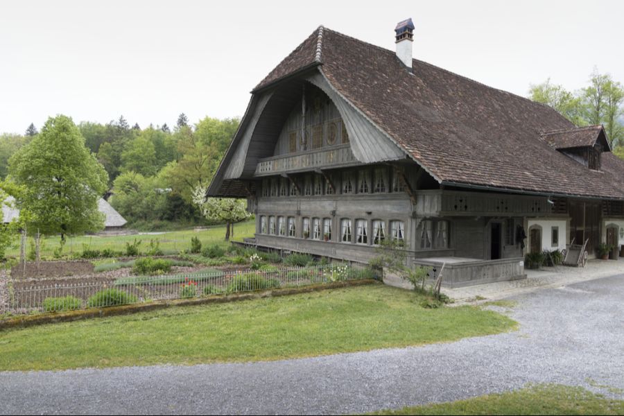 Ein Agrarcoach verrät: Die Konflikte schlummern jeweils bereits vorher in der Familie. (Symbolbild)