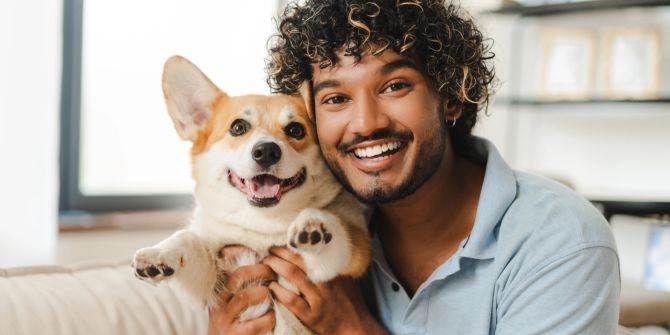 hund haare wohnung